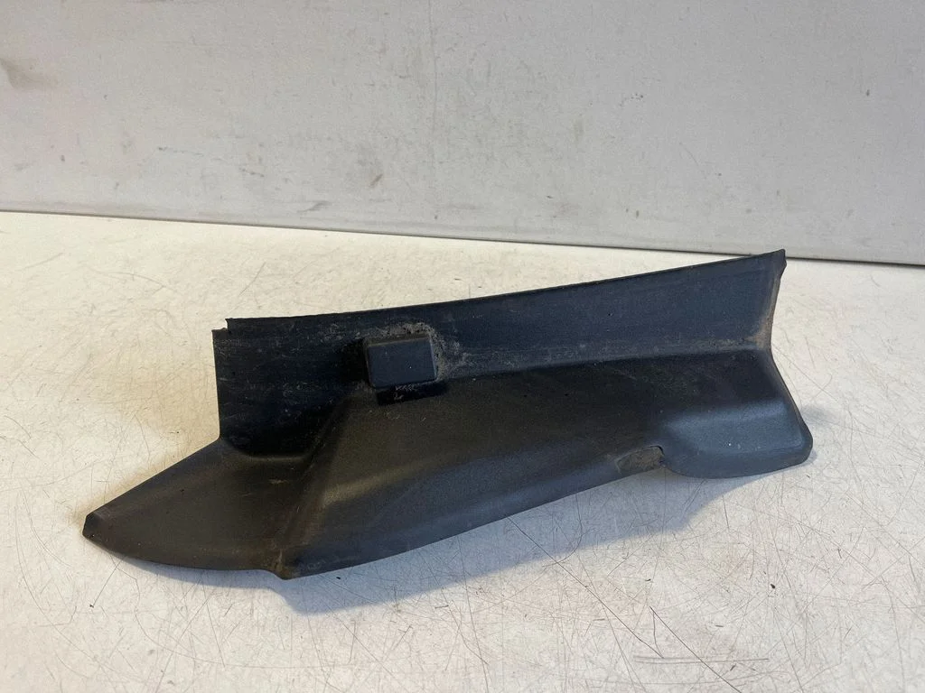 Rear/tail light trim molding A2936910200