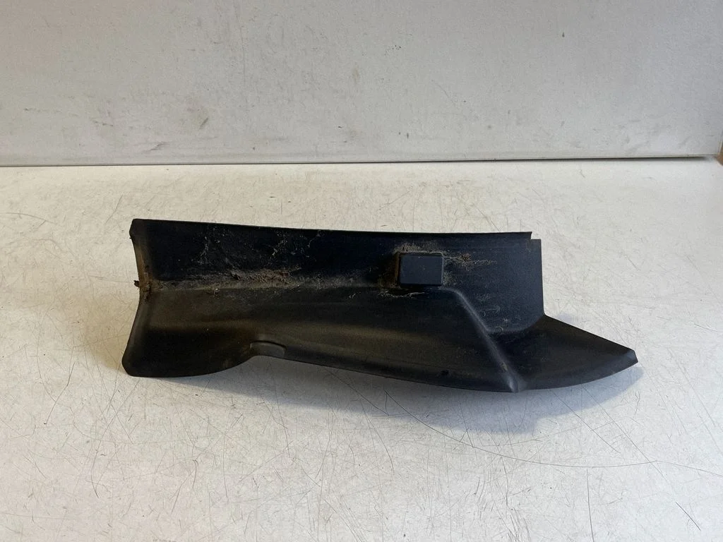 Rear/tail light trim molding A2936910100