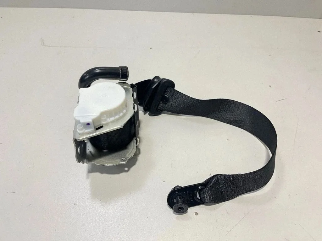 Rear seatbelt 8495456