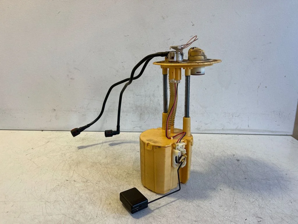 In-tank fuel pump 770100D020A