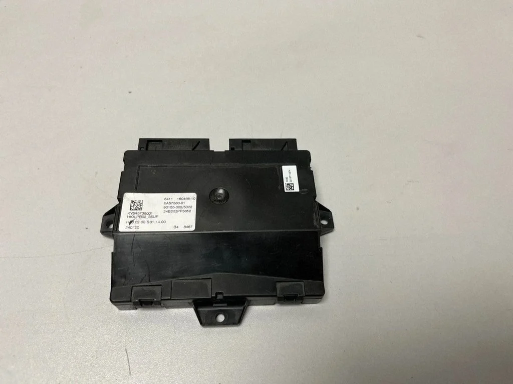 Climate control unit – BMW X7 G07 (2018-)