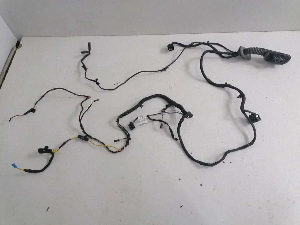 Rear door wiring loom – BMW 6 Series F06 Gran coupe (2012-2018)