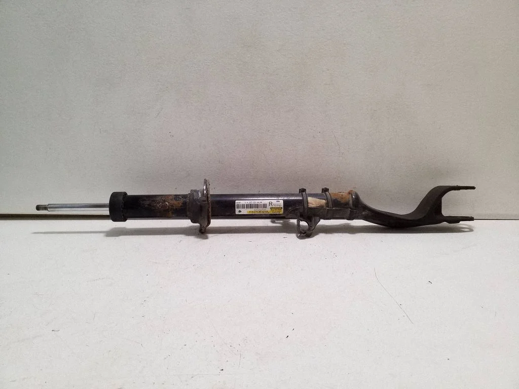 Front shock absorber/damper A2533204466