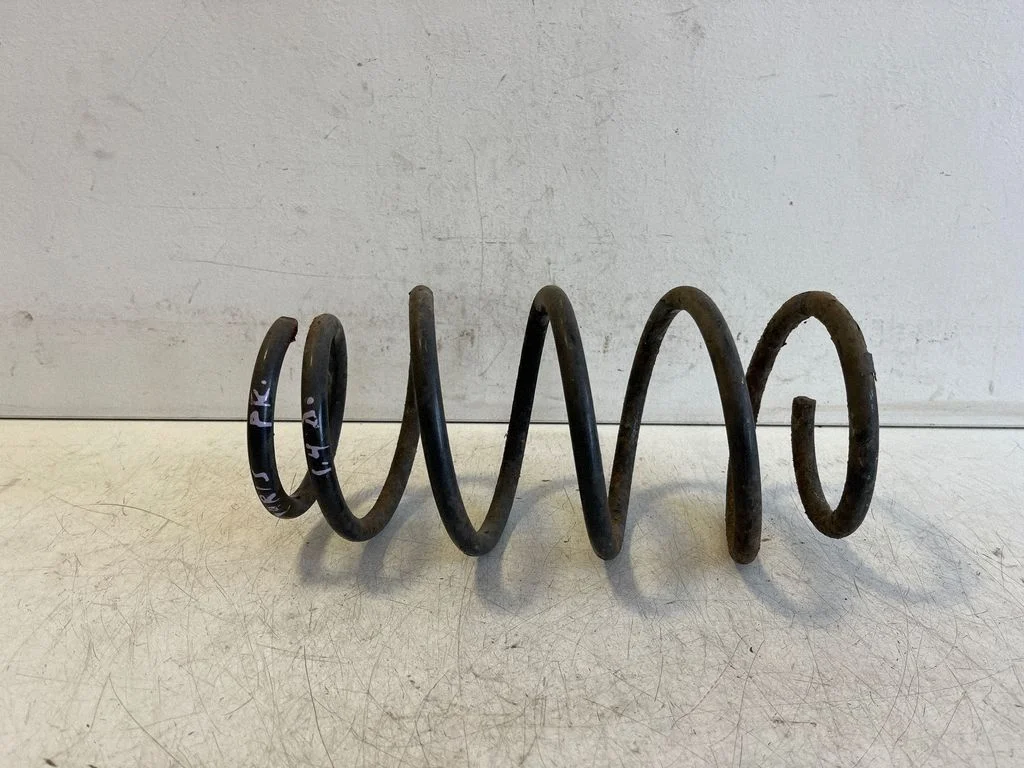 Front coil spring AM300211