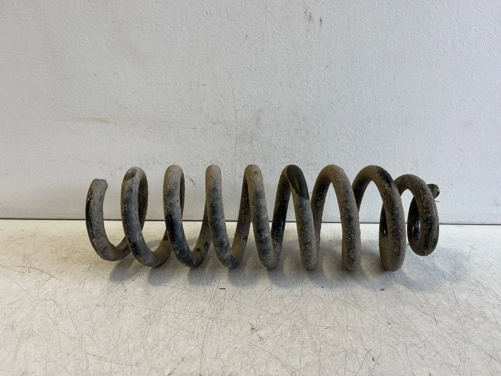 Rear coil spring