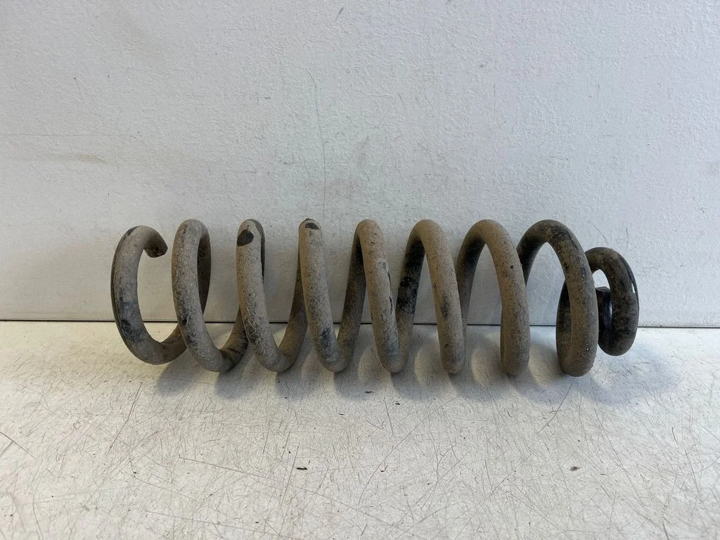Rear coil spring