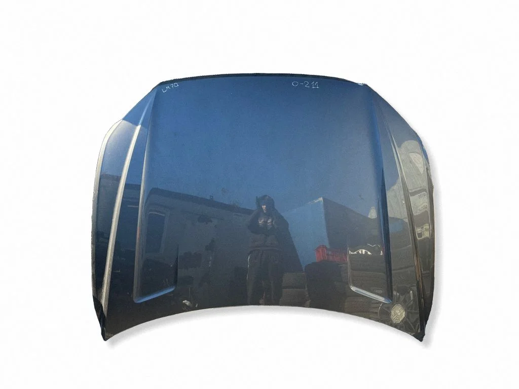 Engine bonnet/hood