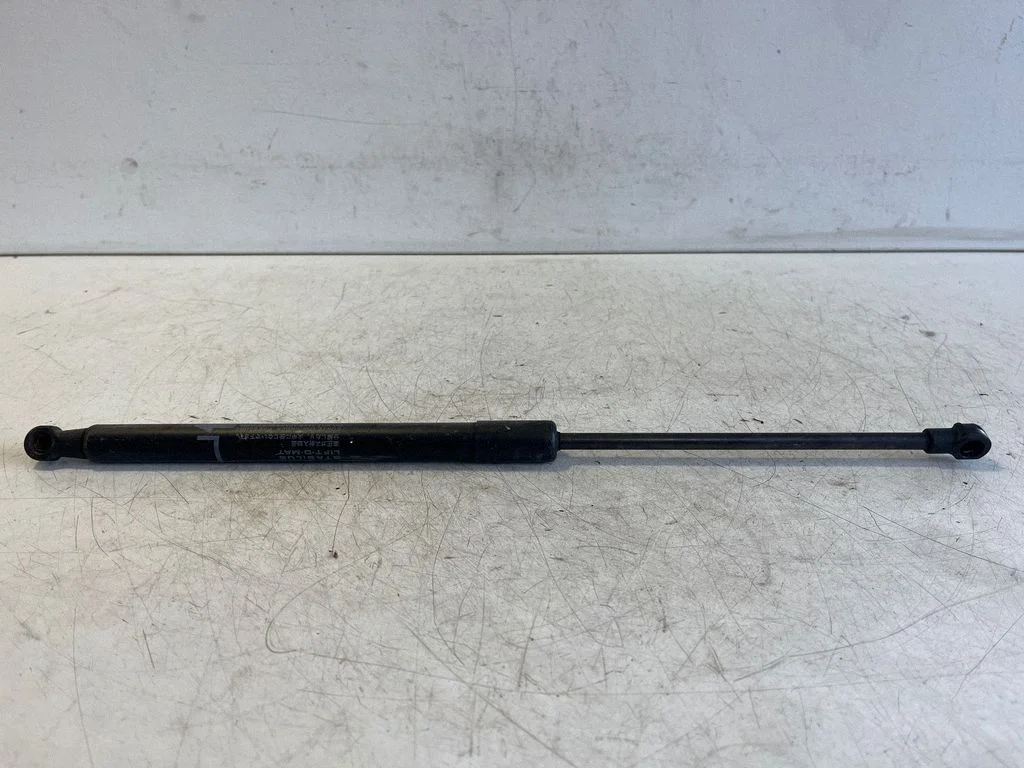 Tailgate/trunk strut/damper 689600D012
