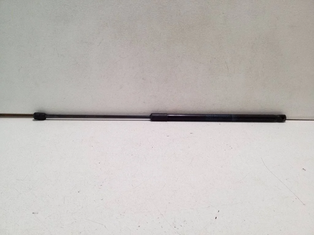 Tailgate/trunk strut/damper A2539800300