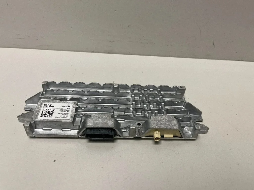 Vaizdo (VIDEO) modulis