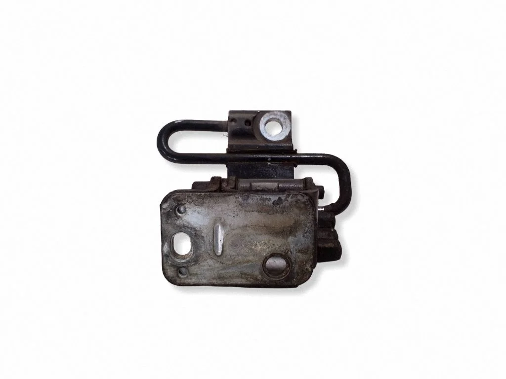 Front door lower hinge 8J0831412