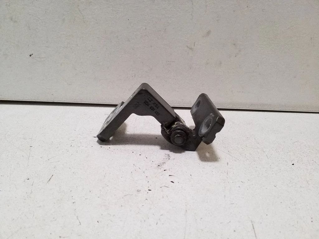 Front door lower hinge 3D4831401