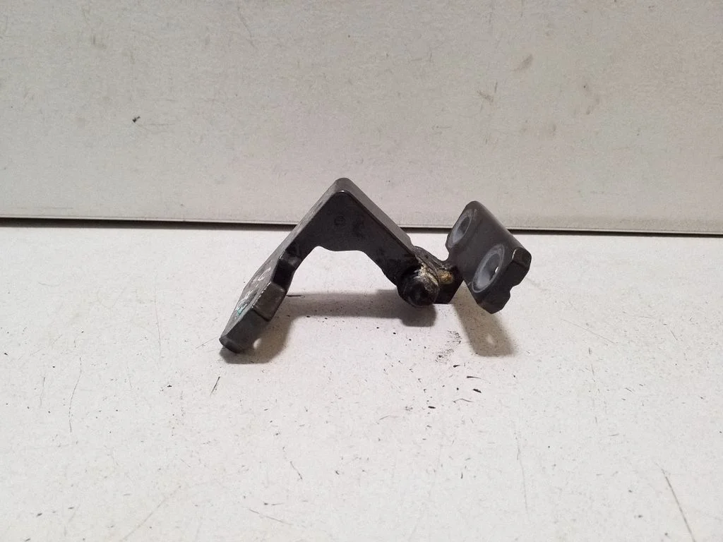 Front door lower hinge 3D4831402