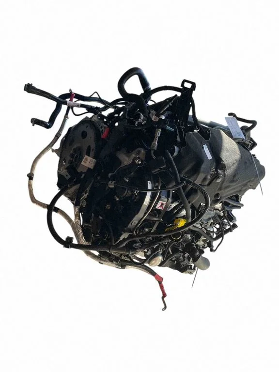 Engine B48B20A – BMW X4 G02 (2018-)