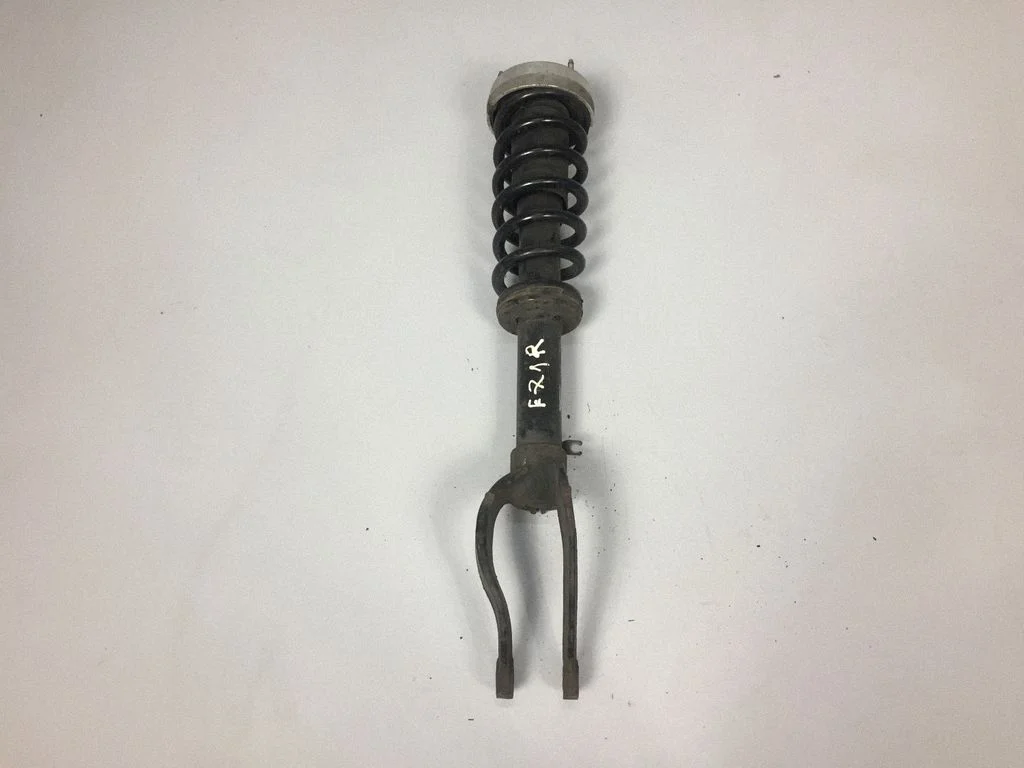 Front shock absorber/damper – BMW X6 E71 (2008-2014)