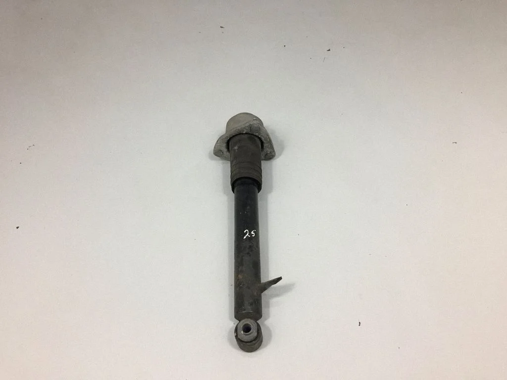 Tagumine amortisaator – BMW X6 E71 (2008-2014)
