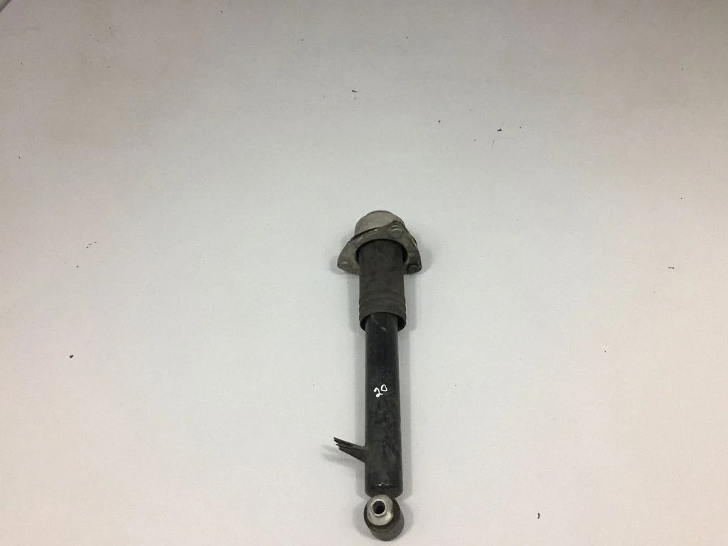 Aizmugurējais amortizators – BMW X5 E70 (2006-2013)