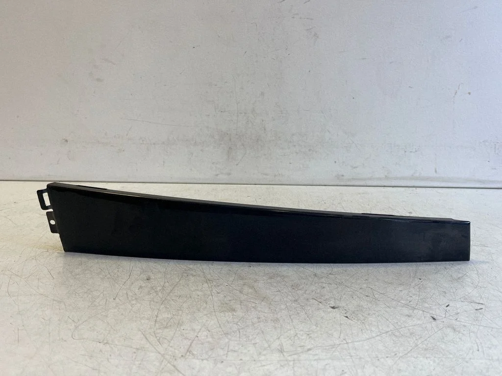 Other rear door trim element – Volkswagen Passat B5.5 (2001-2005), left