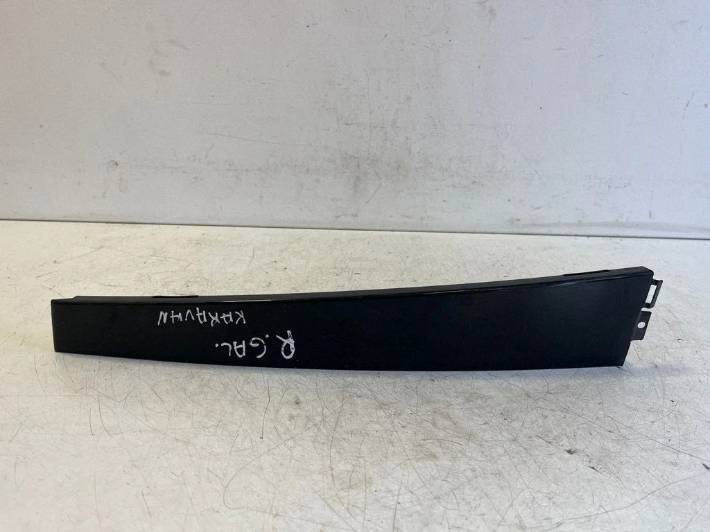 Other rear door trim element – Volkswagen Passat B5.5 (2001-2005), right