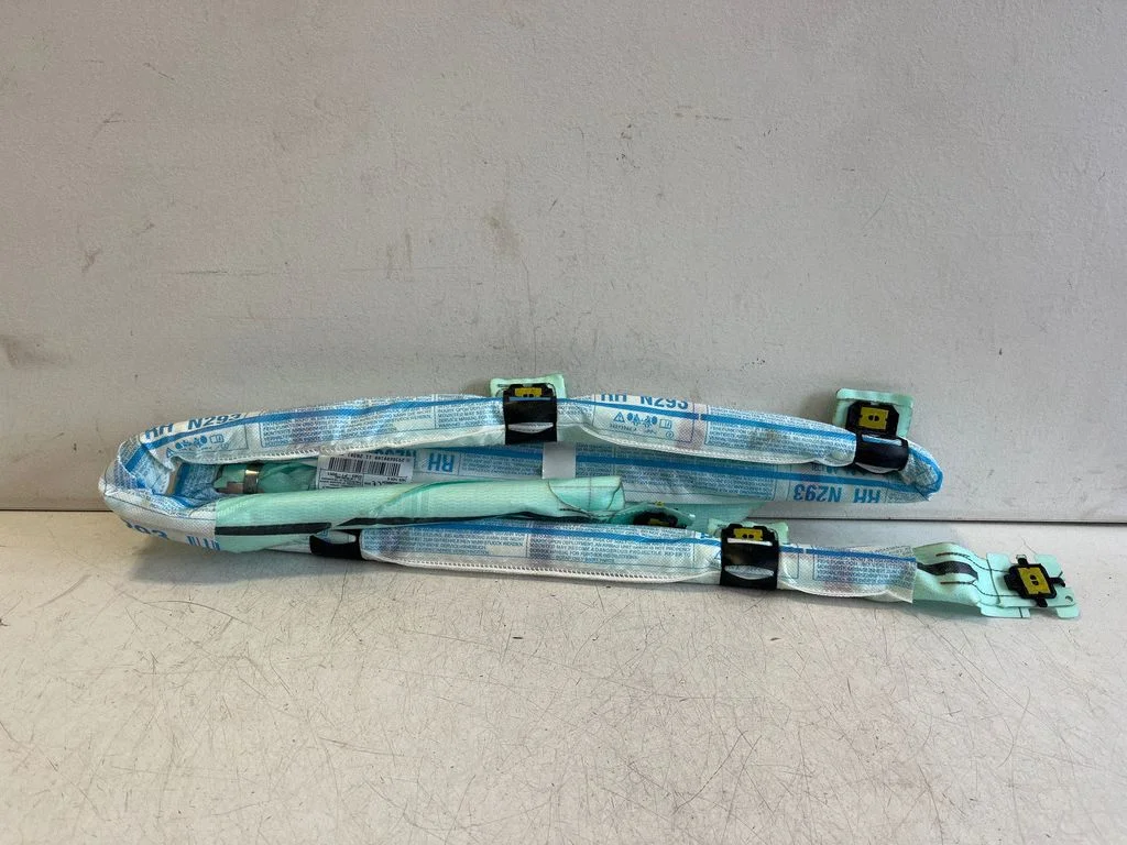 Roof airbag A2938600100