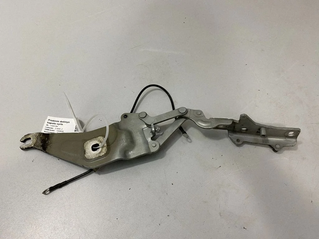 Motora pārsega eņģe (-es) – BMW X5 E70 (2006-2013)