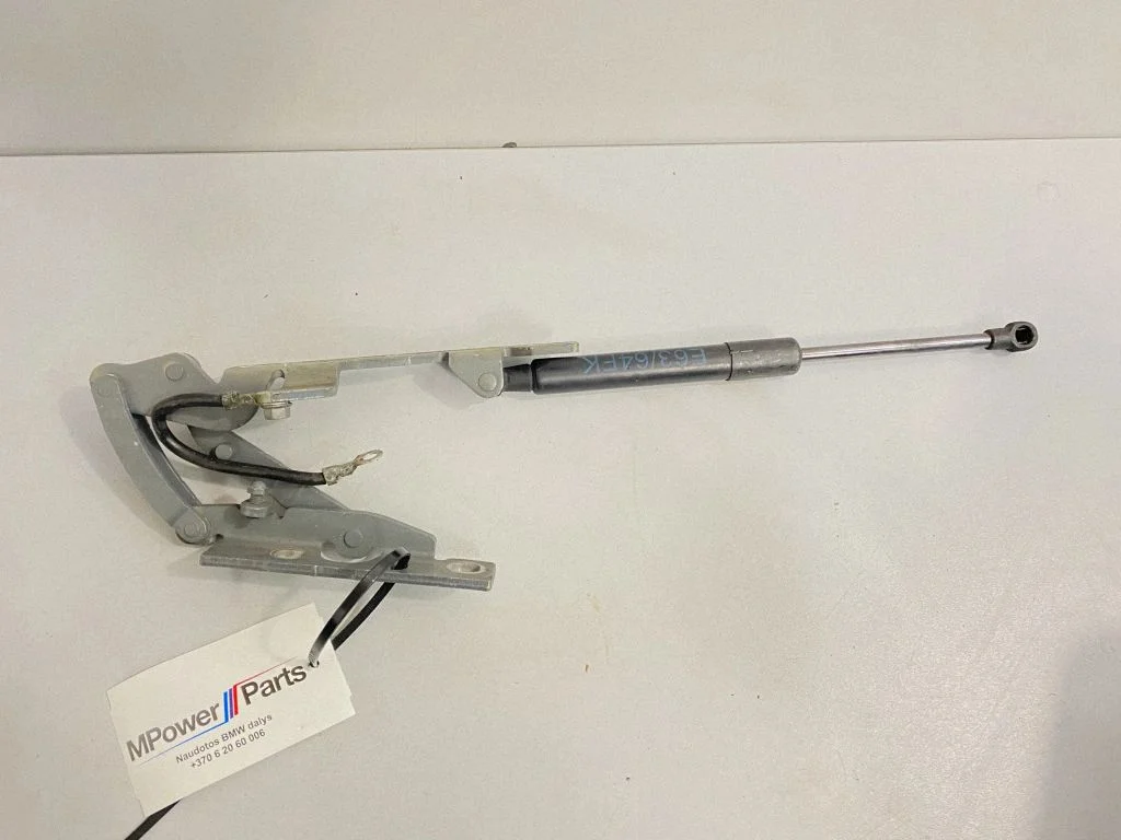 Motora pārsega eņģe (-es) 7084160 – BMW 6. sērija E63 E64 (2002-2010)