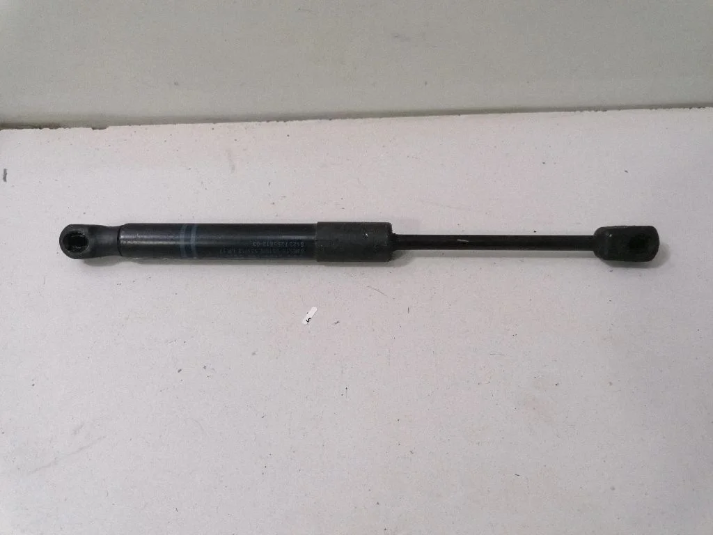 Front bonnet/hood damper/strut