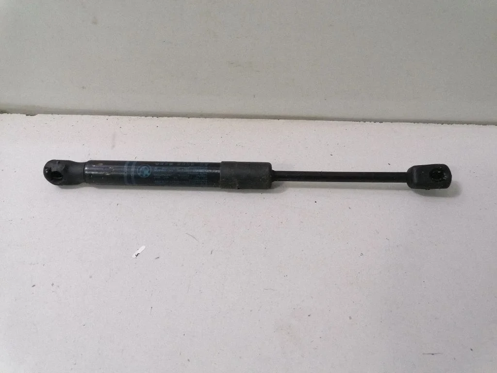 Front bonnet/hood damper/strut