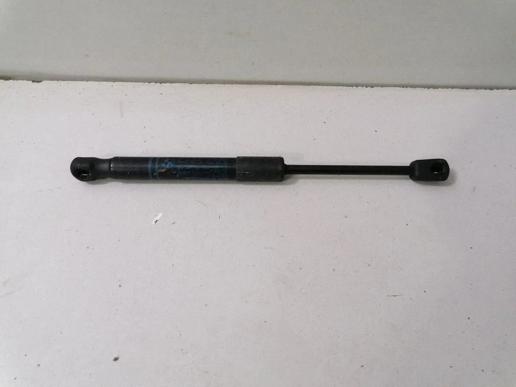 Front bonnet/hood damper/strut