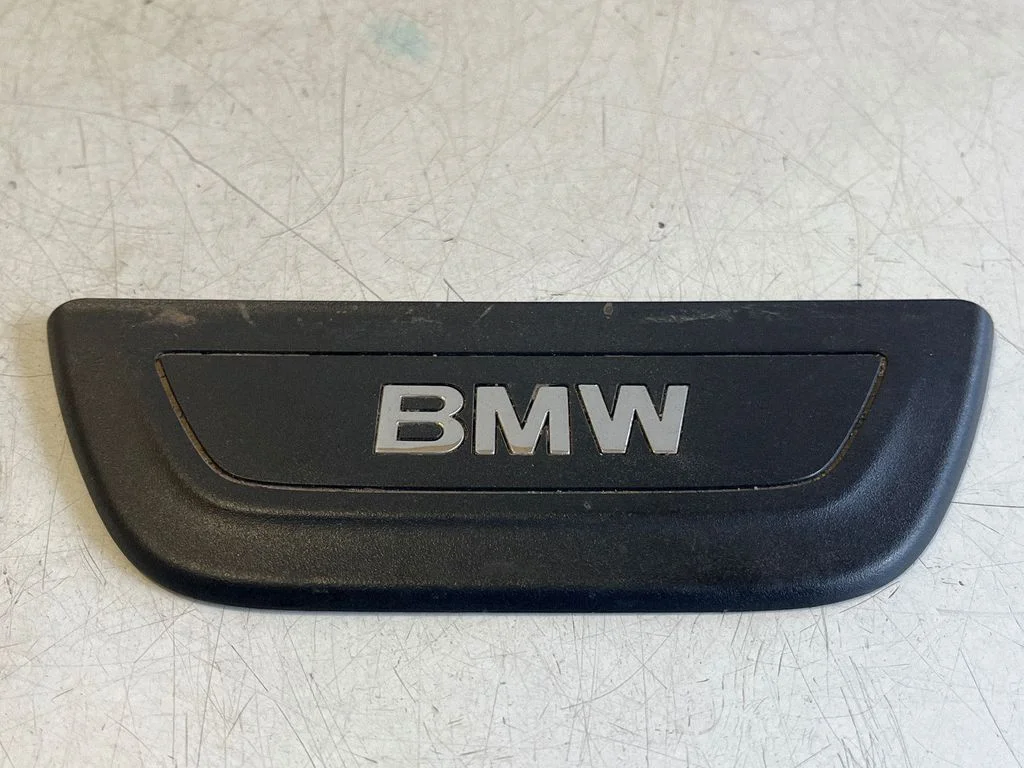 Rear sill trim cover 7205611