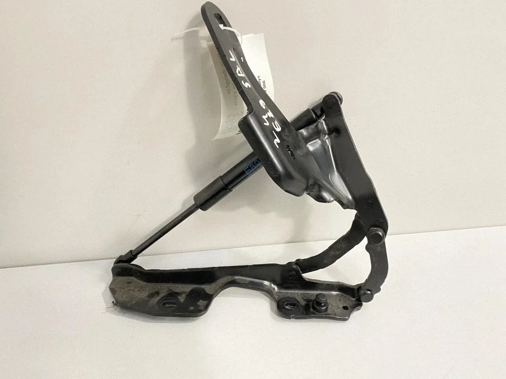 Tailgate/trunk/boot hinge 1234567 – BMW Z4 E89 (2009-2017)