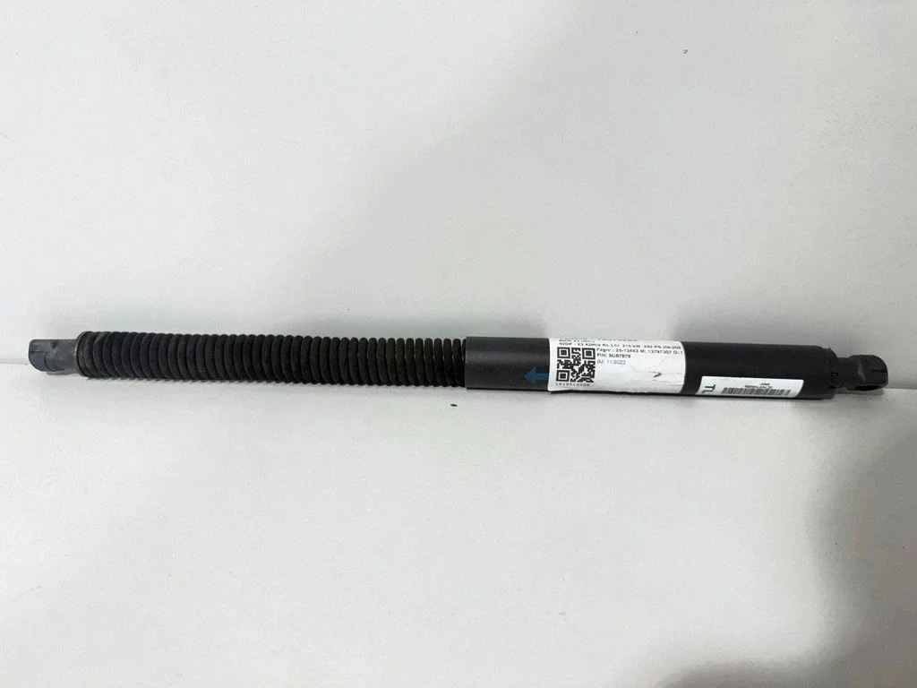 Tagaluugi gaasiamortisaator 7497482