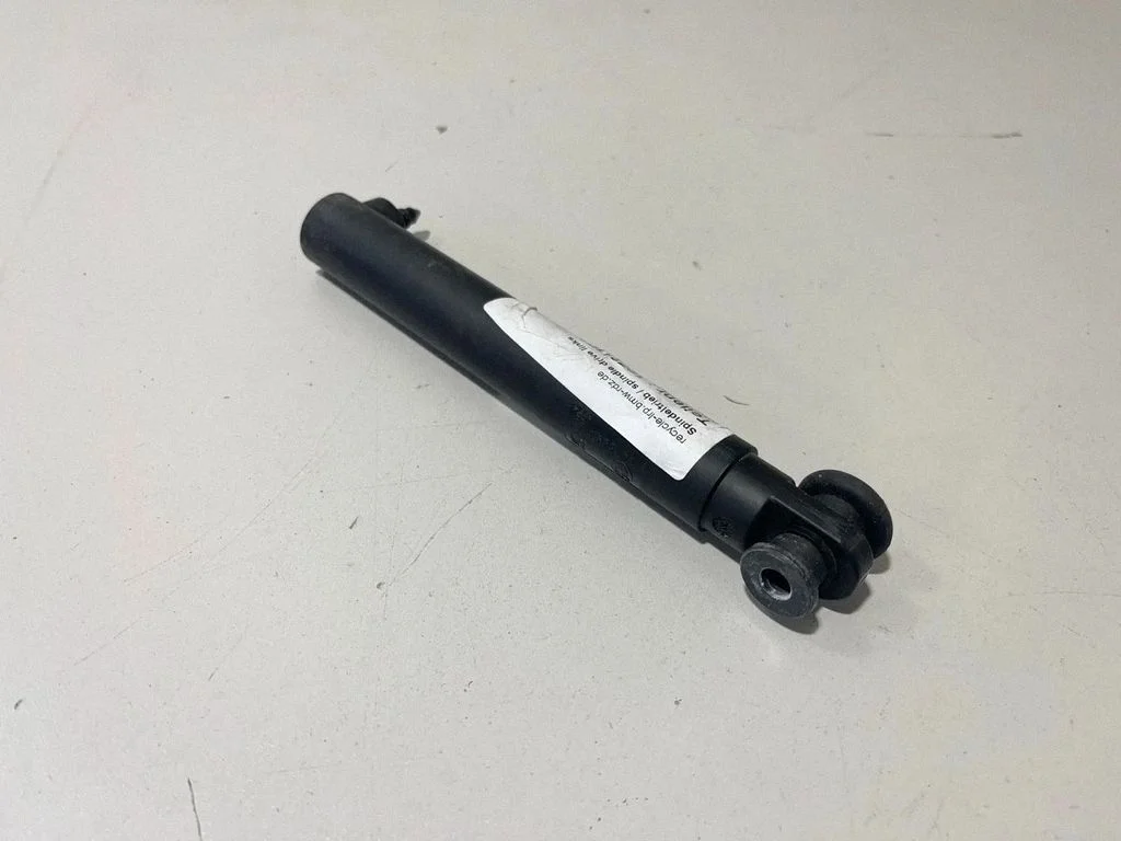 Tailgate/trunk strut/damper 7473097
