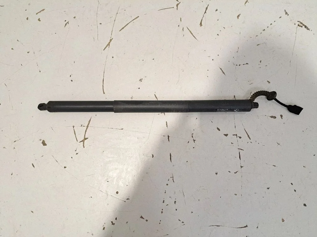 Tailgate/trunk strut/damper
