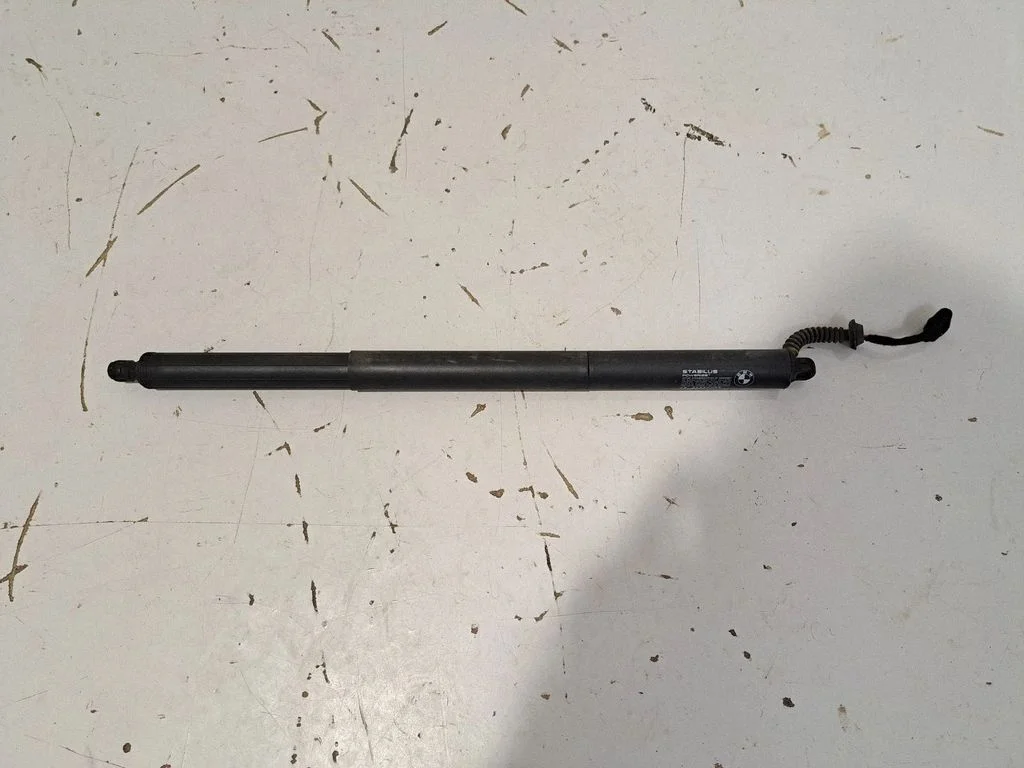Tailgate/trunk strut/damper