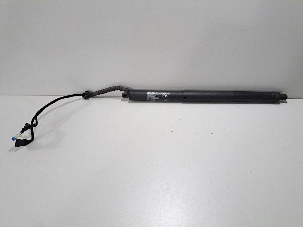 Tailgate/trunk strut/damper 7434041