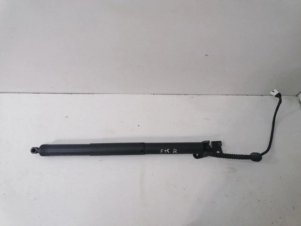 Tailgate/trunk strut/damper 7361878