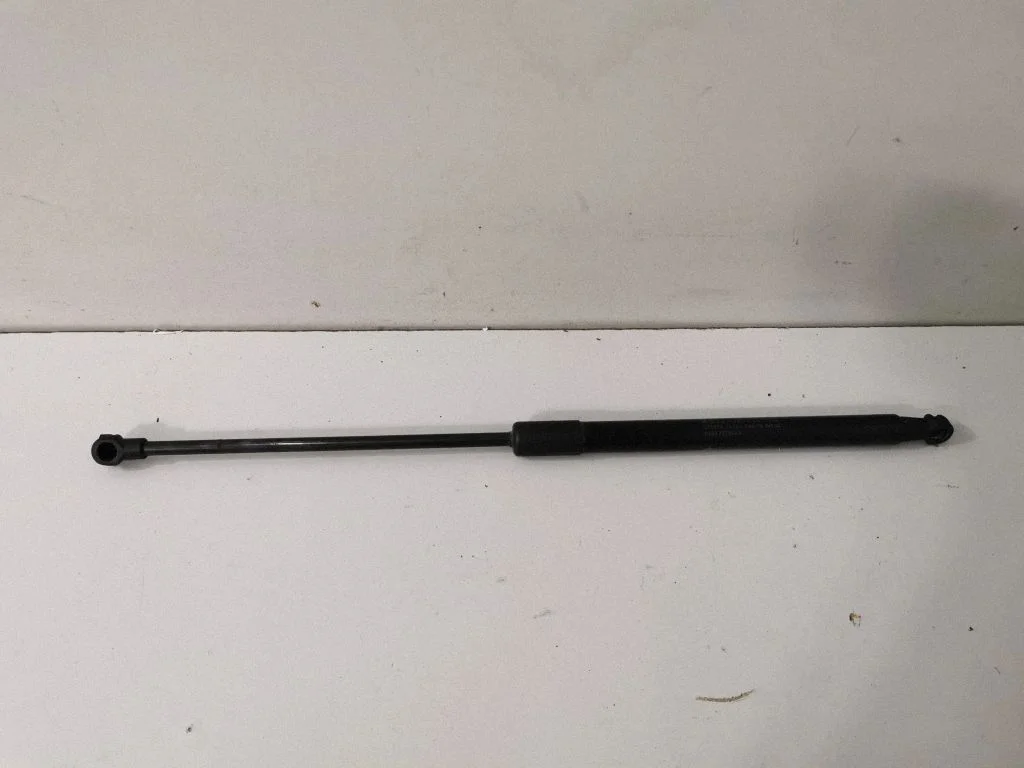 Tailgate/trunk strut/damper