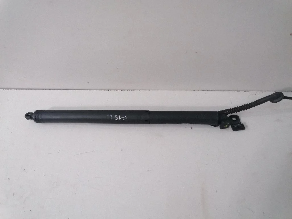 Tailgate/trunk strut/damper 7294469