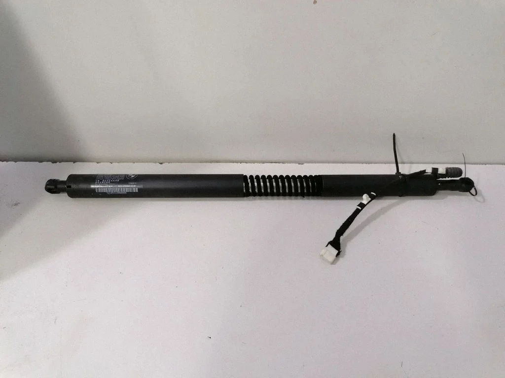 Tailgate/trunk strut/damper