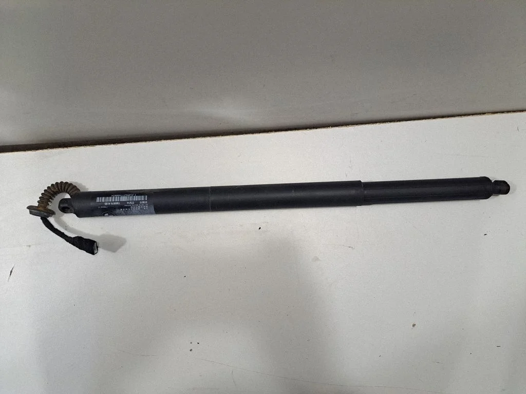 Tailgate/trunk strut/damper