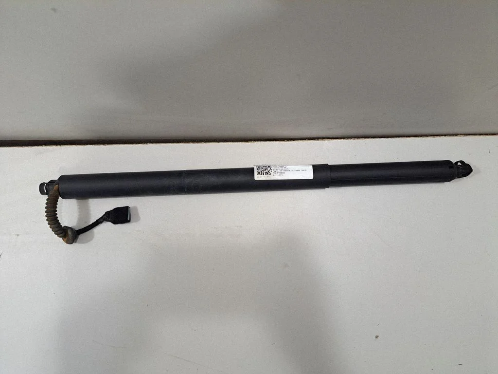 Tailgate/trunk strut/damper