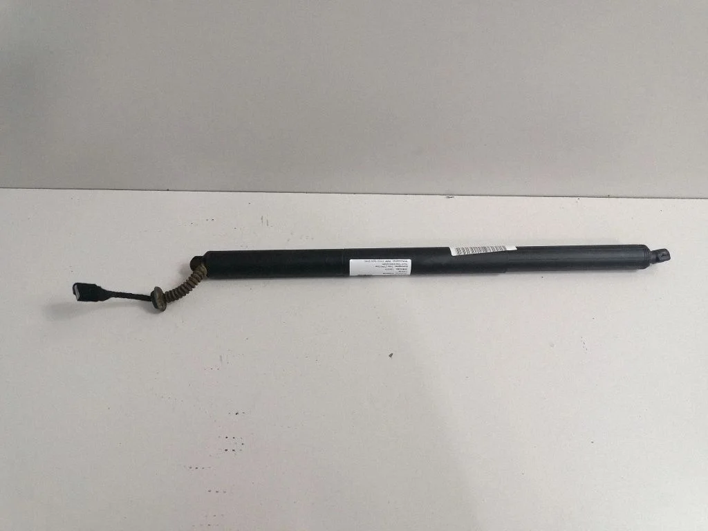 Tailgate/trunk strut/damper