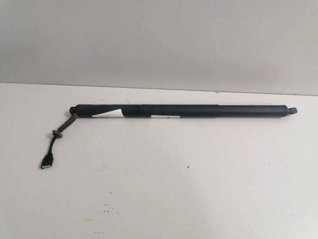 Tailgate/trunk strut/damper