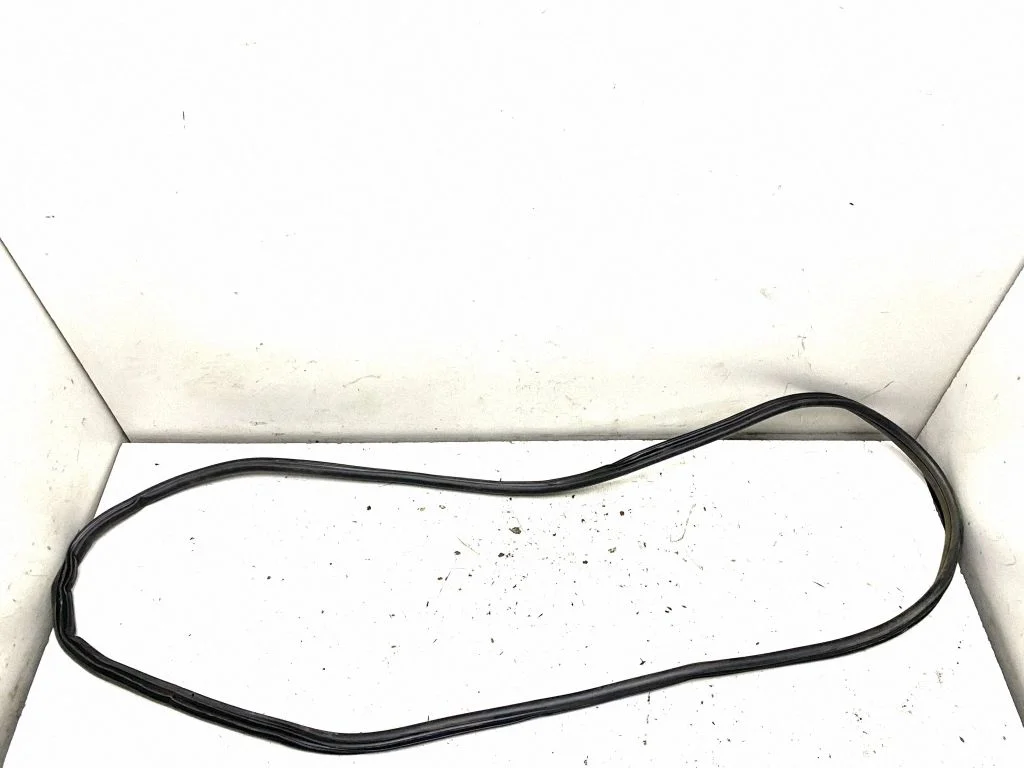 Uszczelka drzwi przednich (na karoserii) – BMW X6 E71 (2008-2014)