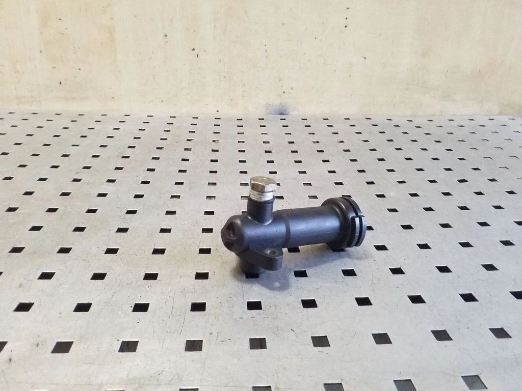 EGR termostatas
