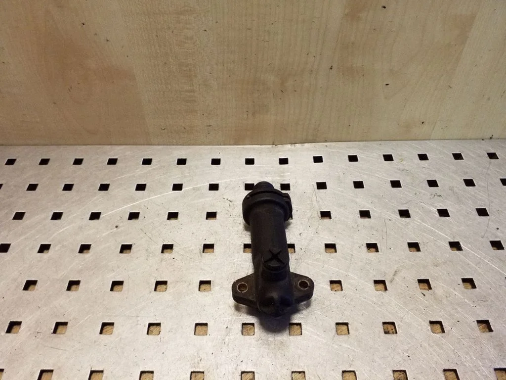 EGR termostatas