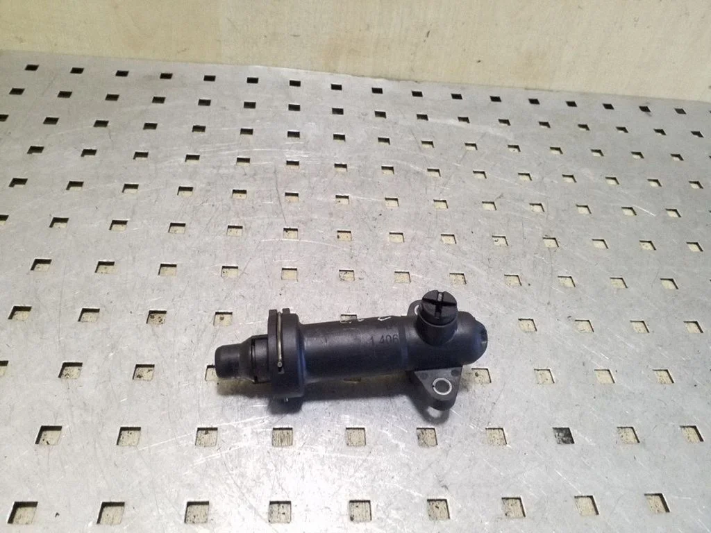 EGR termostatas