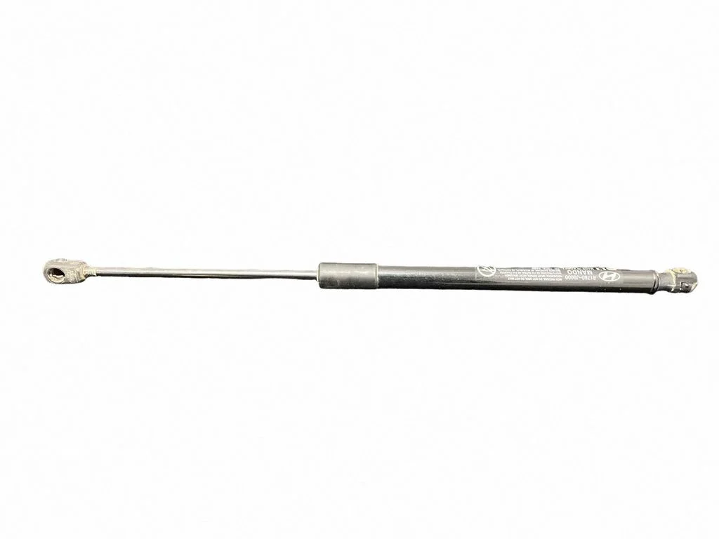 Tailgate/trunk strut/damper 81780J9000