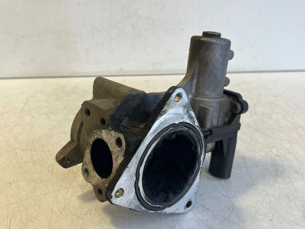 EGR vārsts 700823060